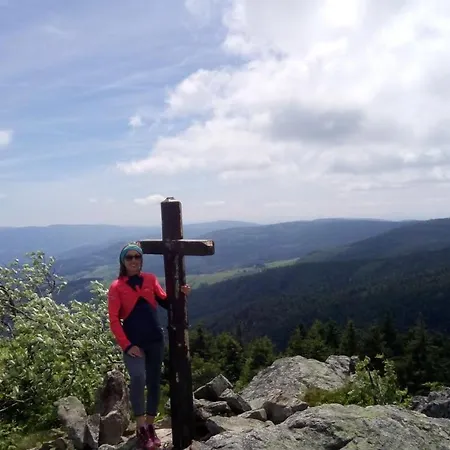 Le chalet de la Dunières Hébergement de vacances *