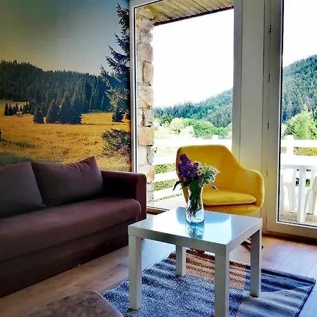 Le chalet de la Dunières Hébergement de vacances *