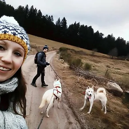 Le chalet de la Dunières Hébergement de vacances
