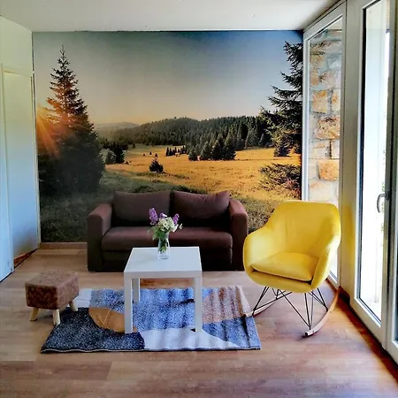 Le chalet de la Dunières *